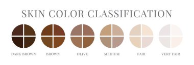 Skin Tone Color Classification Isolated clipart