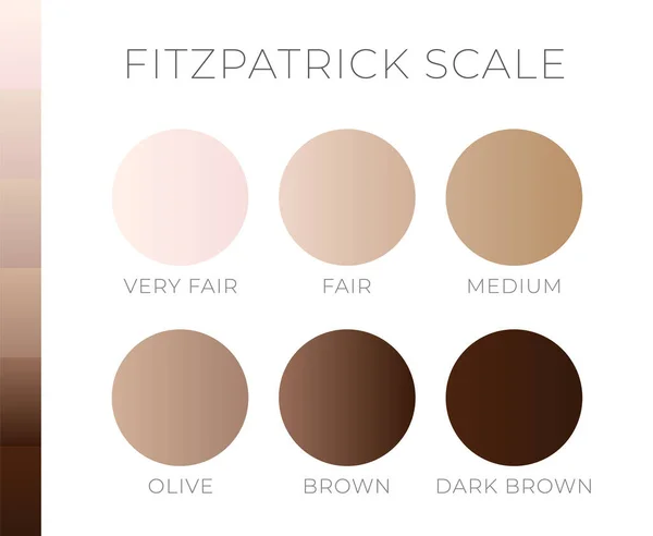 Fitzpatric Ölçek Aydınlıktan Karanlığa Cilt Rengi — Stok Vektör