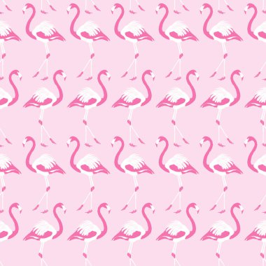 Flamingo Pembe Desen Arkaplanı