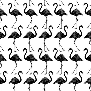 Siyah Flamingo Desenli Arkaplan 