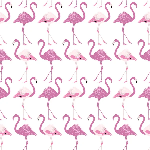 Flamingo Rosa Blanco Patrón Fondo — Archivo Imágenes Vectoriales
