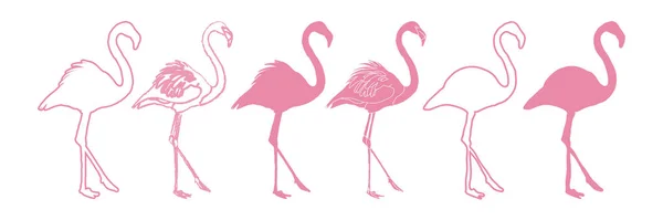 Flamingo Set Isolated Silhouette Illustration — Stock Vector