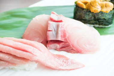 Suşi tarih seçici odak noktası