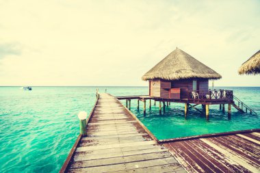 Tropik Maldivler Adası