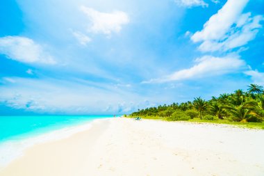 Güzel tropikal plaj 