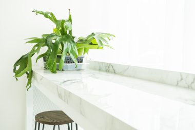 Vazo bitki dekorasyon