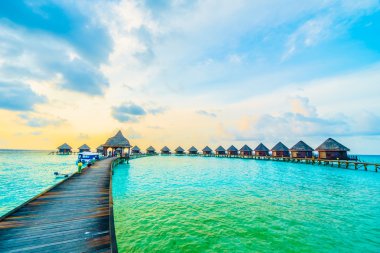 Tropik Maldivler Adası
