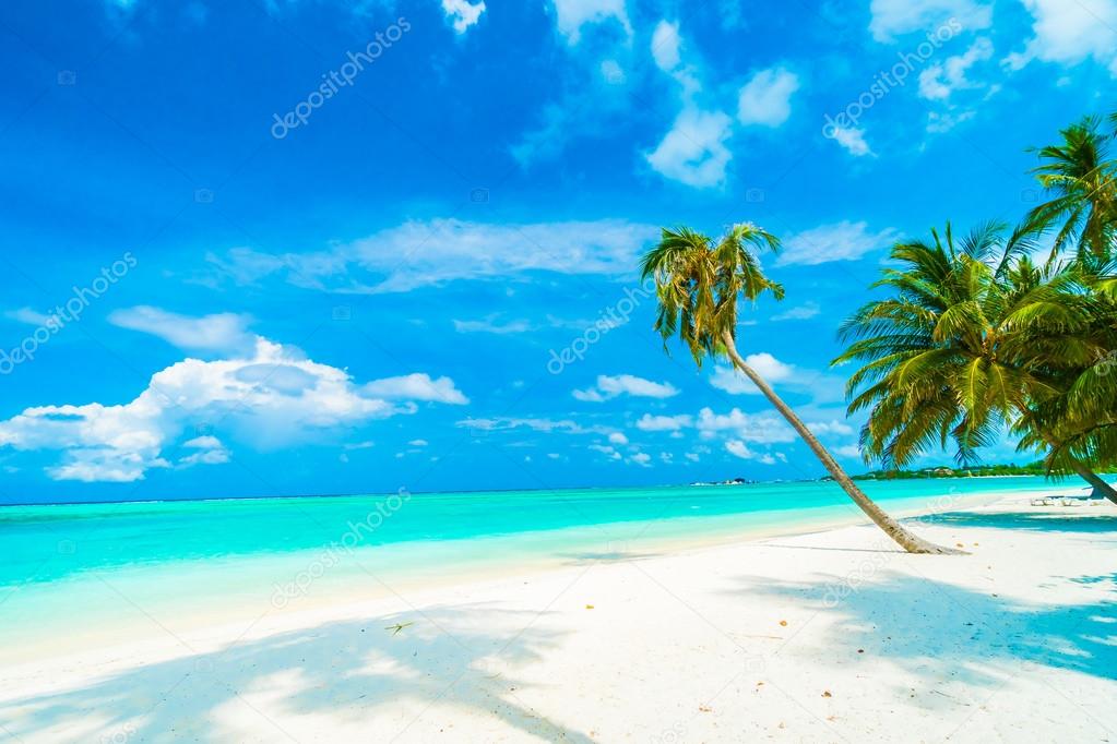 Beautiful tropical beach 