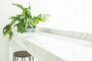 Vazo bitki dekorasyon