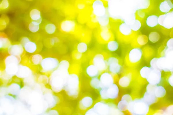 Oskärpa grön bokeh ljus — Stockfoto