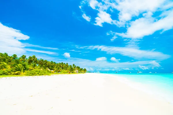 Güzel tropikal Maldivler ada