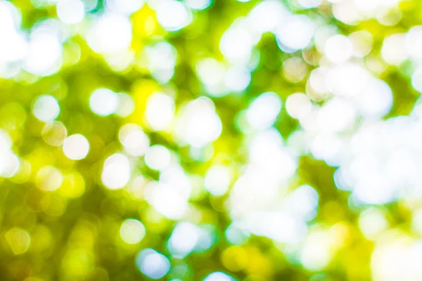 Абстрактный размытый зелёный боке-свет — стоковое фото