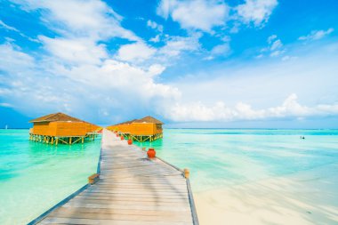 Güzel tropikal Maldivler ada