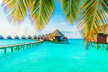 Güzel tropikal Maldivler ada
