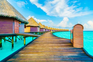 Tropik Maldivler Adası