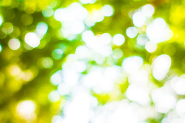 Abstrakt oskärpa grön bokeh ljus — Stockfoto
