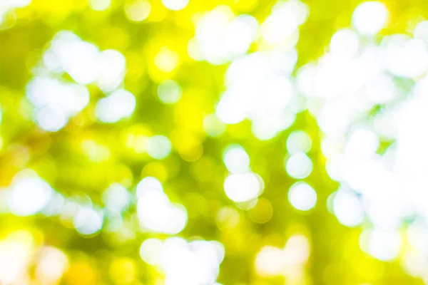 Абстрактный размытый зелёный боке-свет — стоковое фото