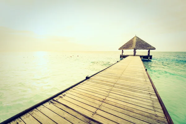 Tropik Maldivler Adası