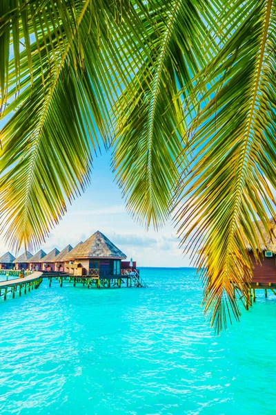 Magnifique hôtel des Maldives tropicales — Photo