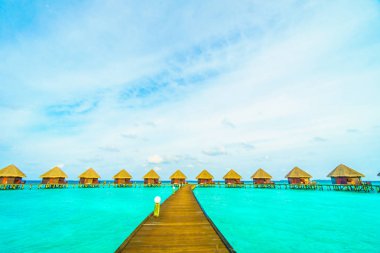 Tropik Maldivler Adası