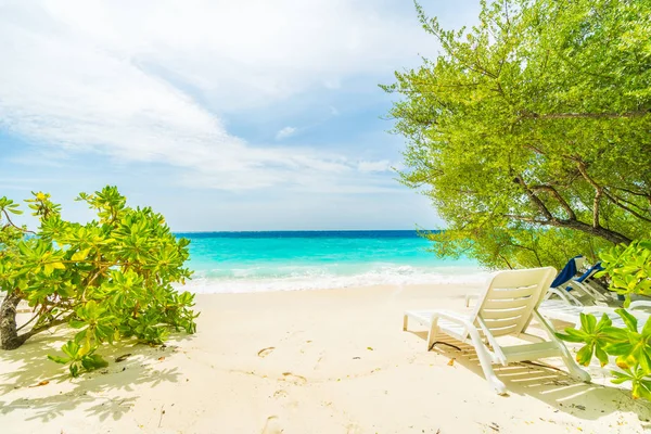 Tropik Maldivler Adası