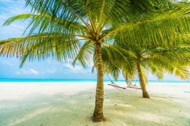 Boş hamak güzel tropik sahilde 