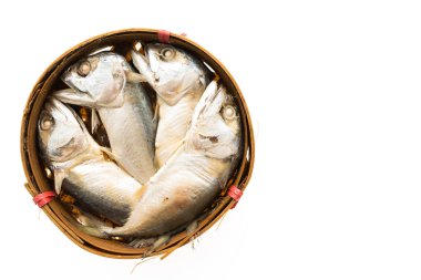 izole uskumru balığı