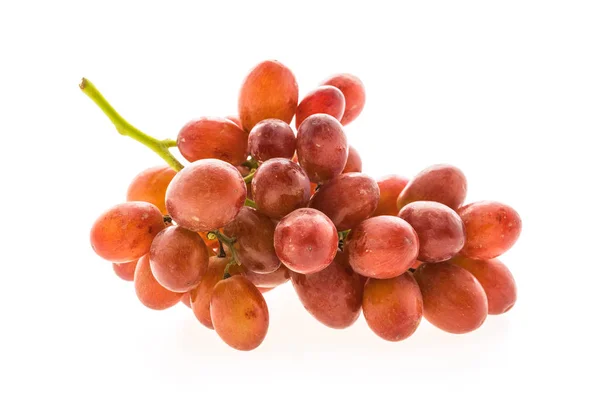 Ramo jugoso de uvas — Foto de Stock