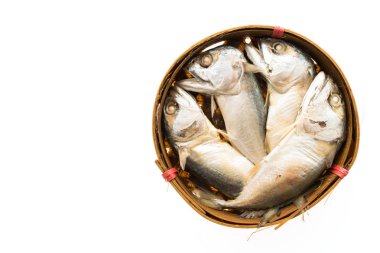 izole uskumru balığı