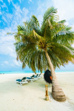  Tropik Maldivler Adası