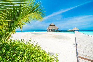  Tropik Maldivler Adası