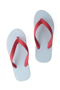 Flop flip ya da terlik