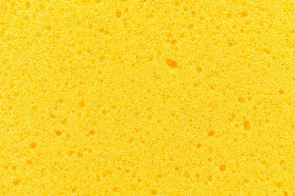 Sponge textures for background — Stock Photo, Image
