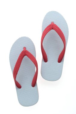 Flop flip ya da terlik