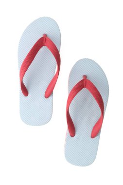 Flop flip ya da terlik