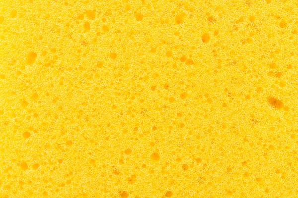 Macro Sponge textures — Stock Photo, Image