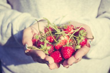 Çilek elinde meyve