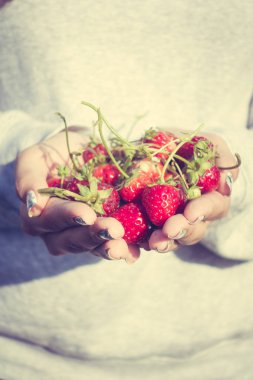 Çilek elinde meyve