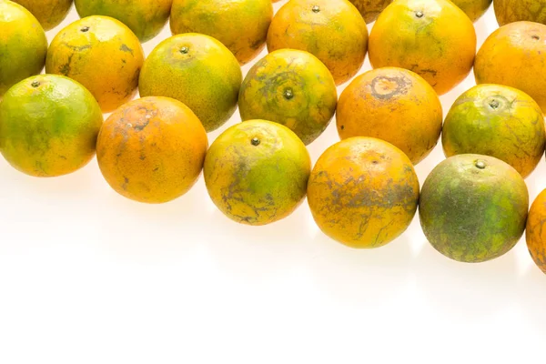 Ripe orange fruits — Stock Photo, Image