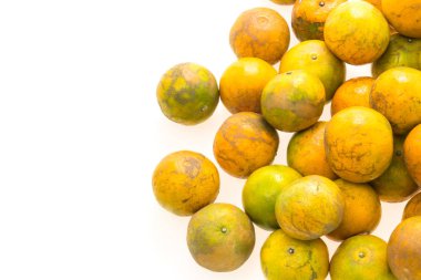 Olgun portakal meyvesi