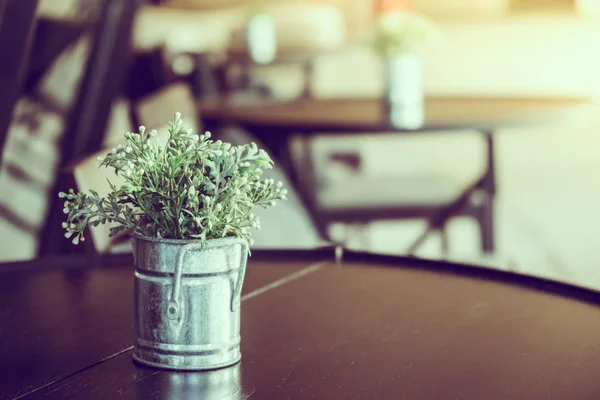 Plant in vase on table — Stock Photo, Image