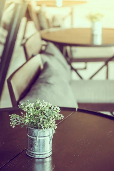 Planta em vaso na mesa — Fotografia de Stock