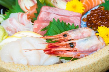 Karışık ham ve taze sashimi 