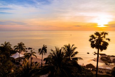 Deniz ve plaj ile siluet Hindistan cevizi hurma ağacı
