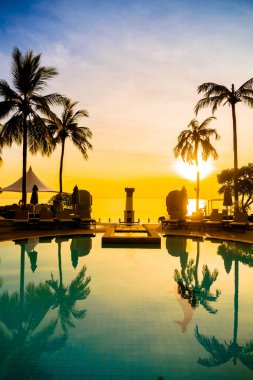 Siluet Hindistan cevizi hurma ağacının Yüzme Havuzu etrafında