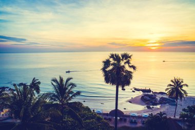 Deniz ve plaj ile siluet Hindistan cevizi hurma ağacı