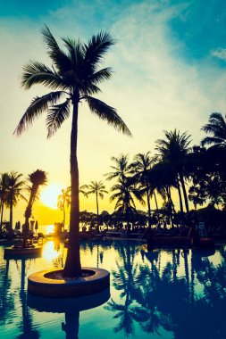 Siluet Hindistan cevizi hurma ağacının Yüzme Havuzu etrafında