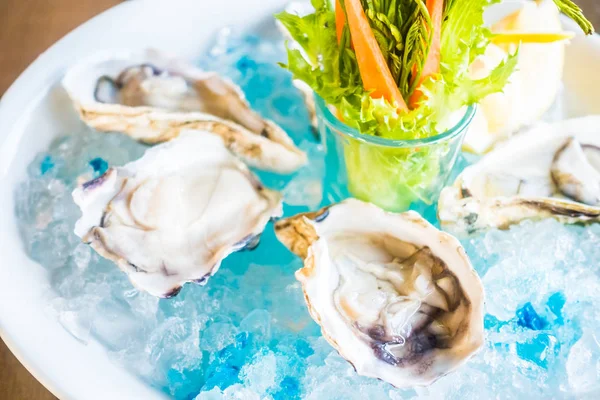 Raw and fresh Oysters — Stock Photo, Image