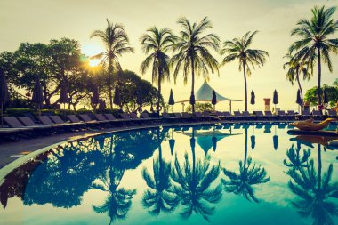 Siluet Hindistan cevizi hurma ağacının Yüzme Havuzu etrafında