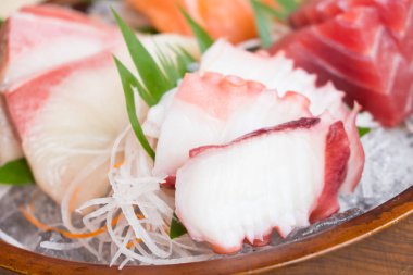 Ham taze sashimi balık